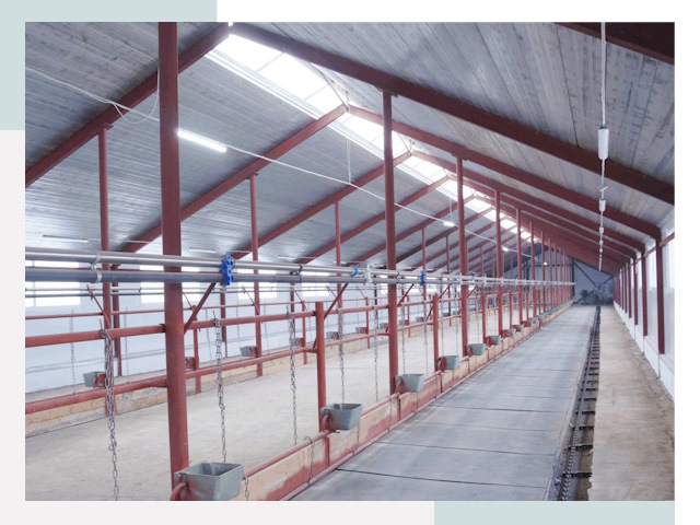 Строительство коровников в Лениногорске от 619 руб.